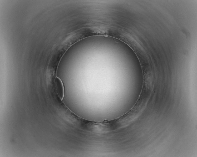 X0000115710229200911121432