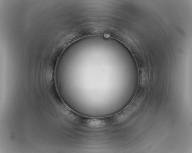 X0000115710230200911121432