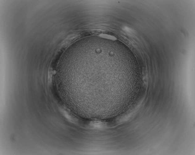 X0000115710231200911121432