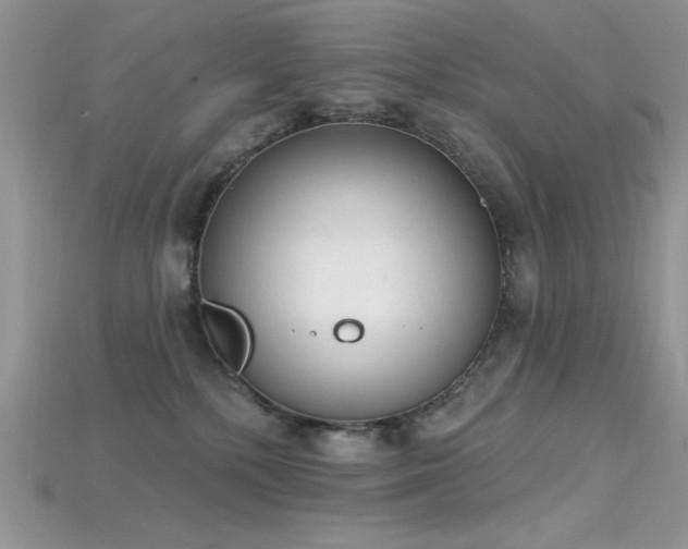 X0000115710232200911121432