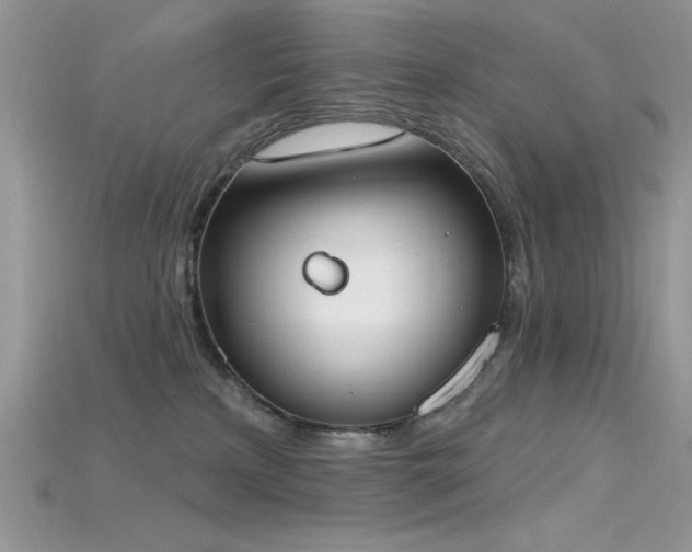 X0000115710233200911121432