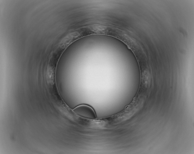 X0000115710234200911121432