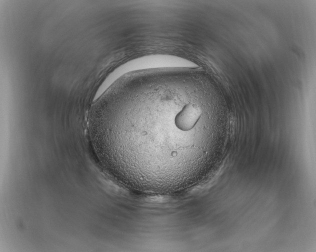 X0000115710237200911121432