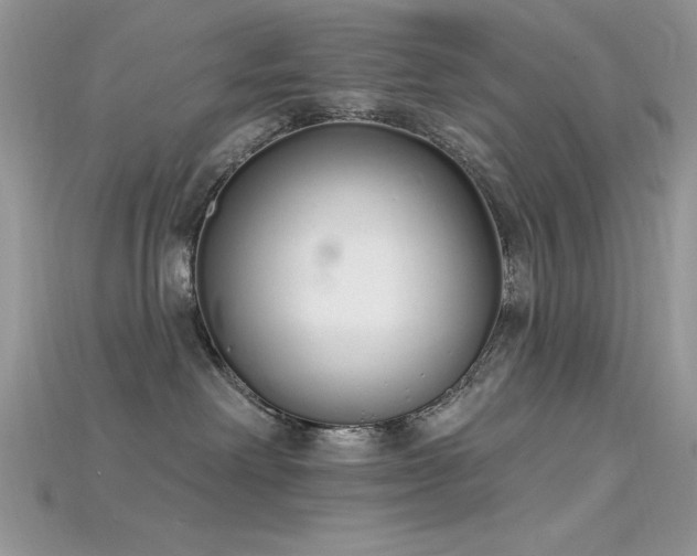 X0000115710238200911121432