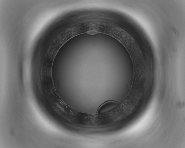 X0000115710239200911121432