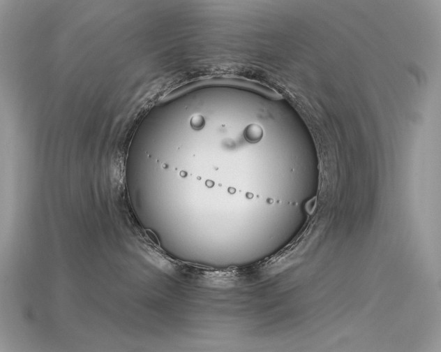 X0000115710240200911121432