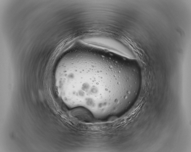 X0000115710241200911121431