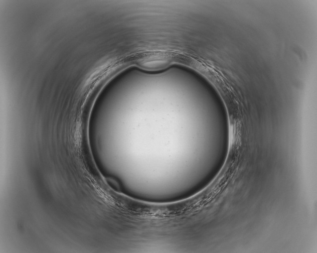 X0000115710243200911121431