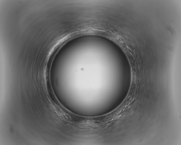 X0000115710244200911121431