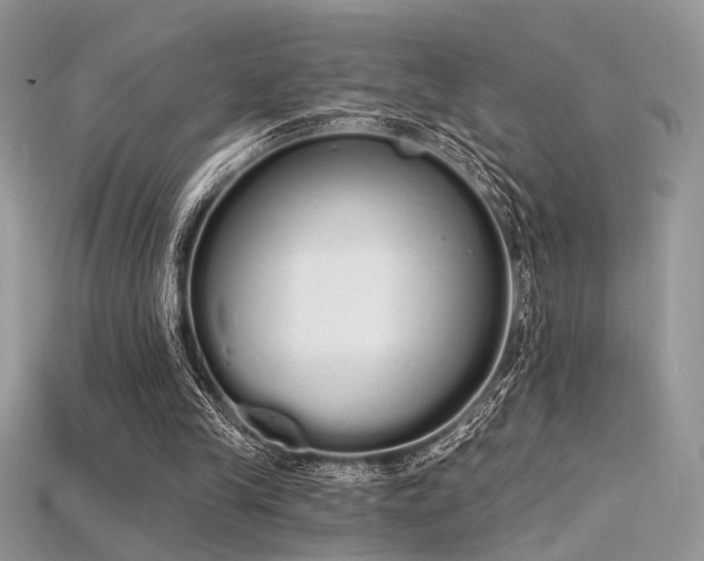 X0000115710245200911121431