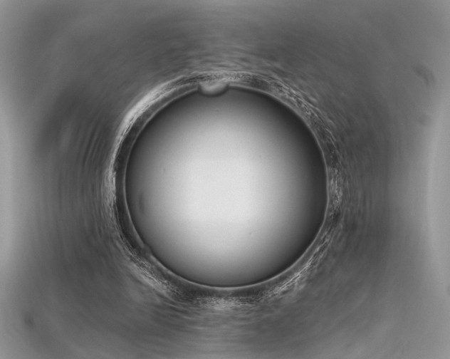 X0000115710246200911121431