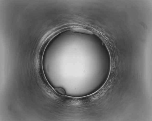 X0000115710247200911121431