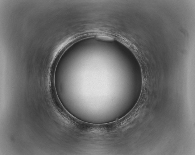 X0000115710248200911121431