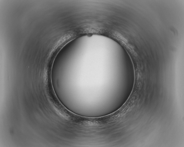 X0000115710250200911121431