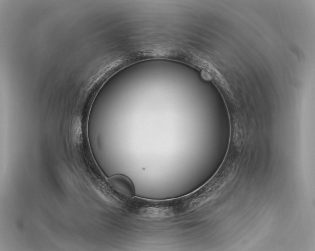 X0000115710251200911121431