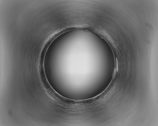 X0000115710252200911121431