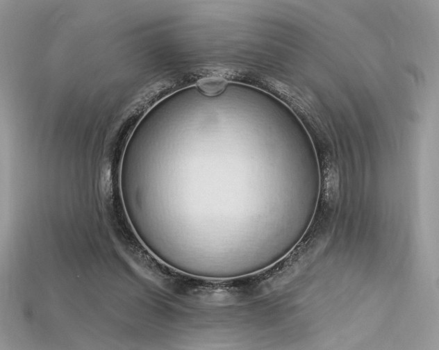 X0000115710254200911121431