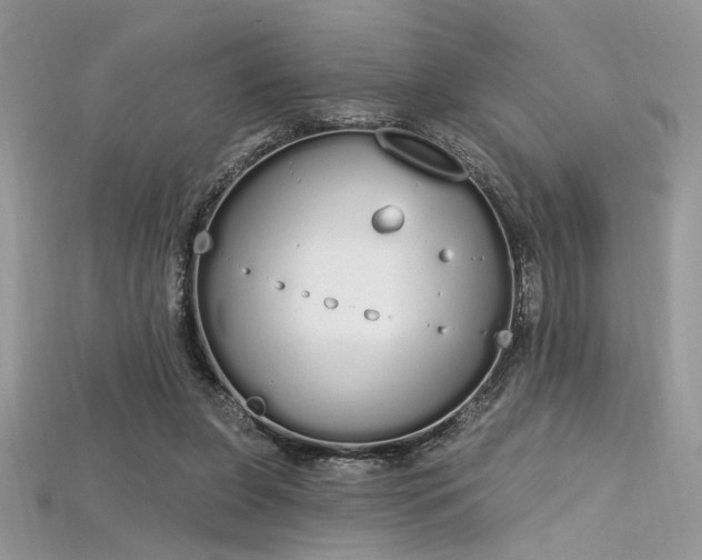 X0000115710255200911121431