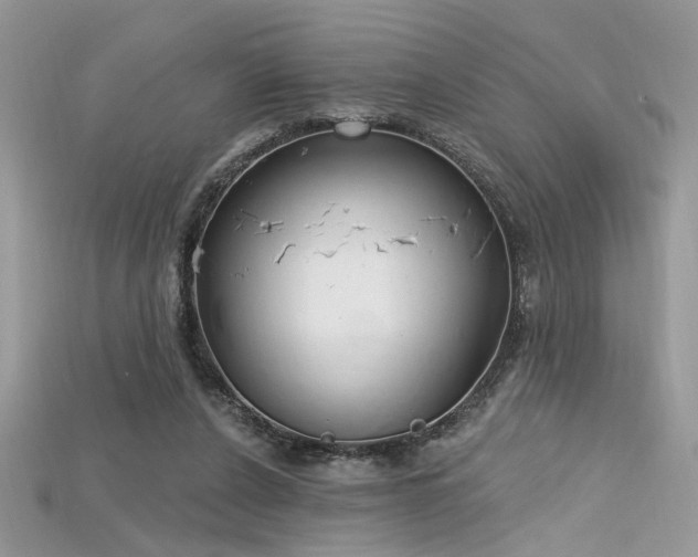 X0000115710256200911121431