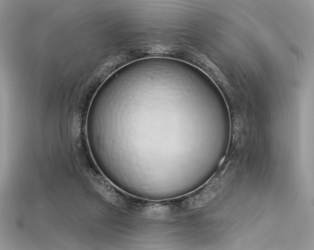 X0000115710257200911121431