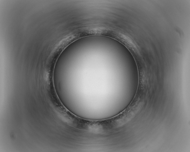 X0000115710258200911121431