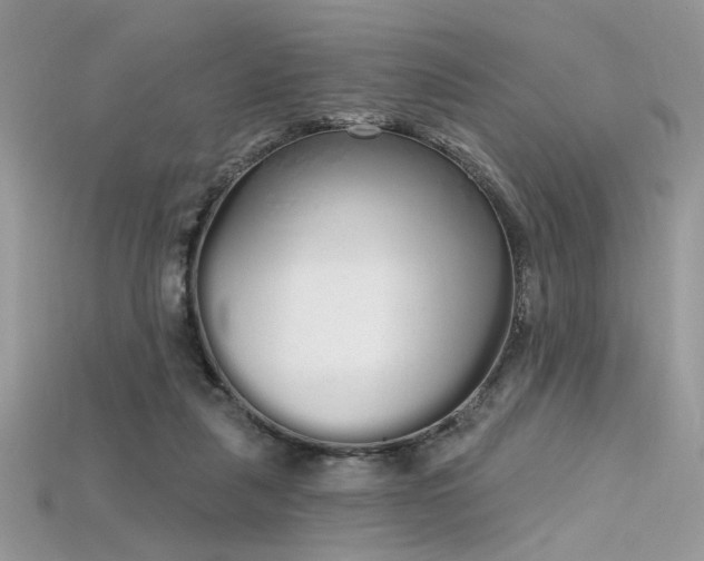 X0000115710259200911121431