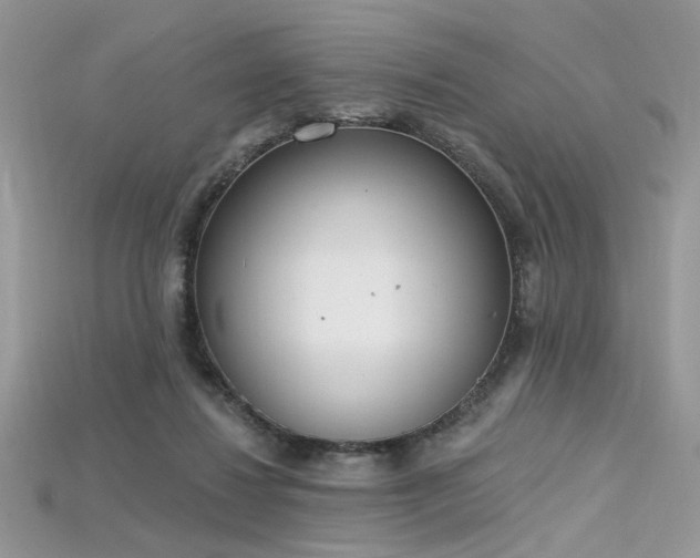 X0000115710260200911121431