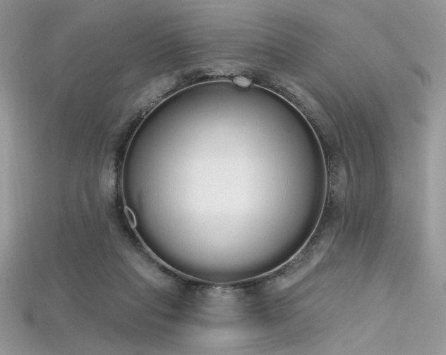 X0000115710261200911121431