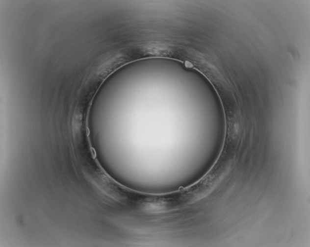 X0000115710263200911121431