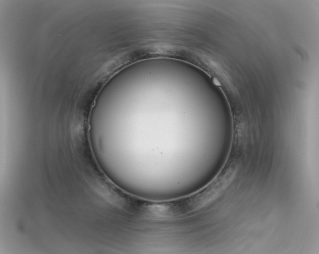 X0000115710265200911121431