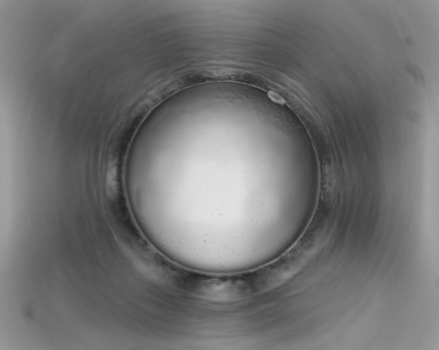 X0000115710267200911121431