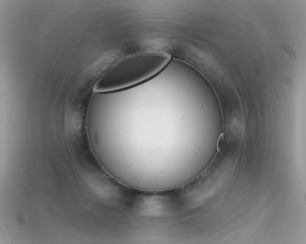 X0000115710268200911121431