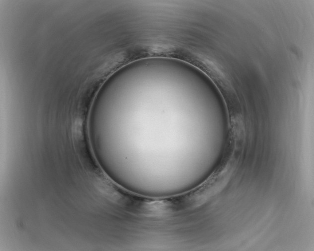 X0000115710269200911121431