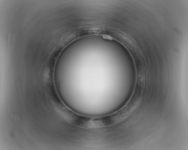 X0000115710270200911121431