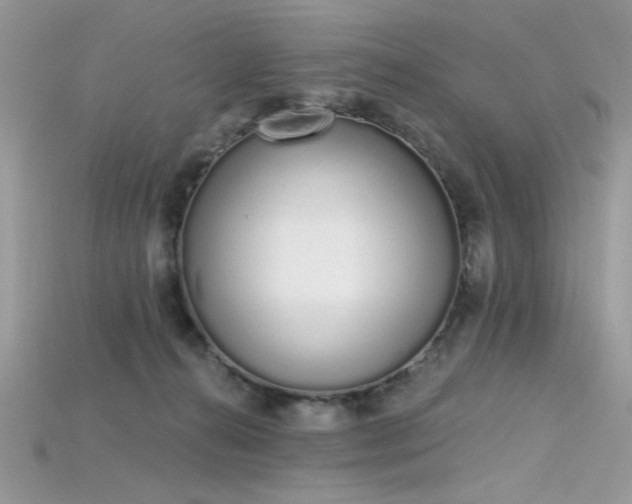 X0000115710272200911121432