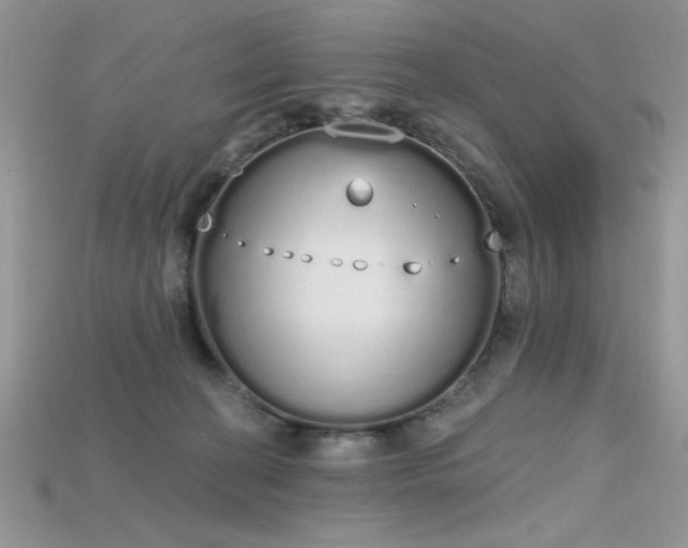 X0000115710274200911121432