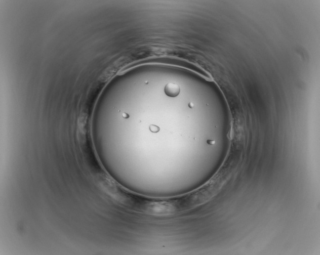 X0000115710275200911121432