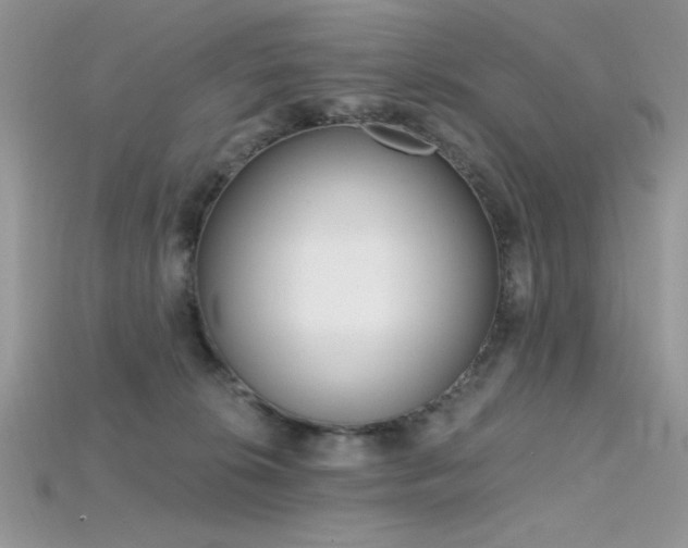 X0000115710276200911121432