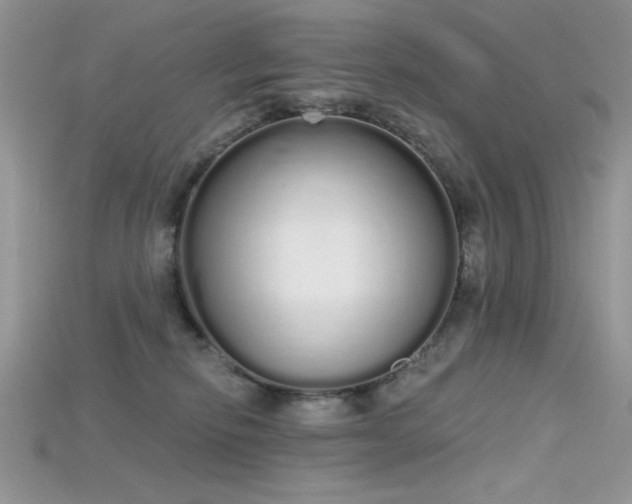 X0000115710278200911121432