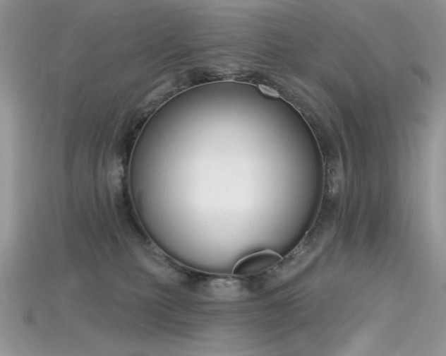 X0000115710279200911121432