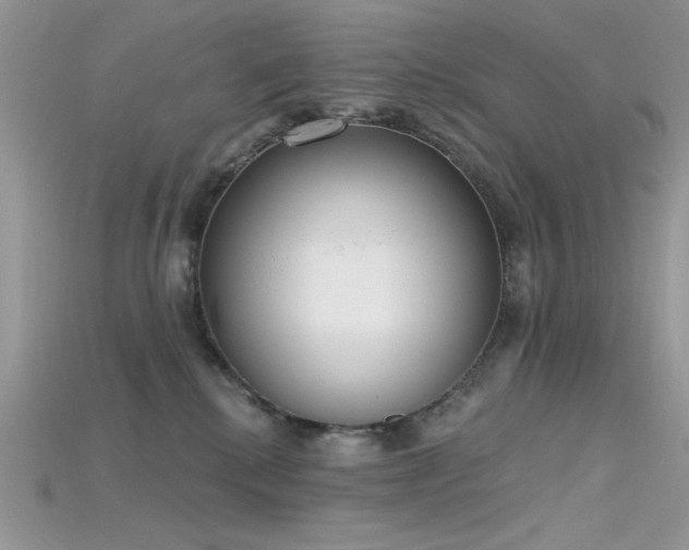 X0000115710280200911121432