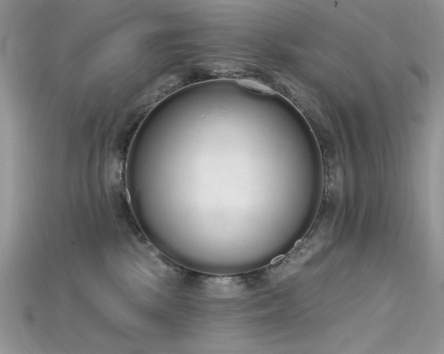 X0000115710281200911121432