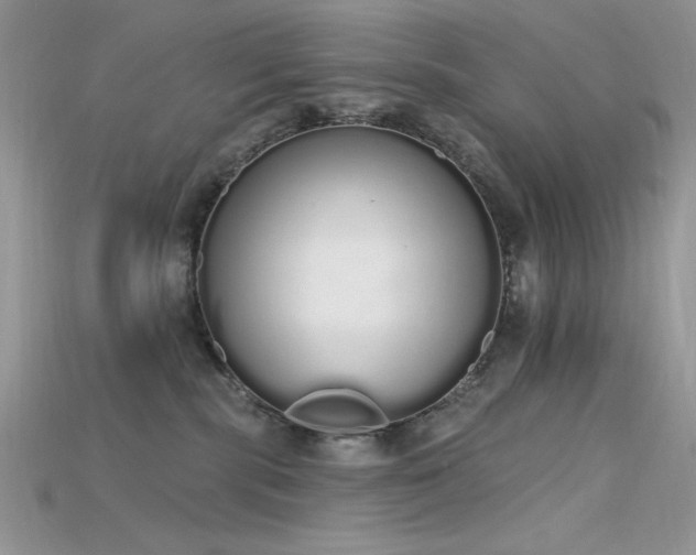 X0000115710283200911121432