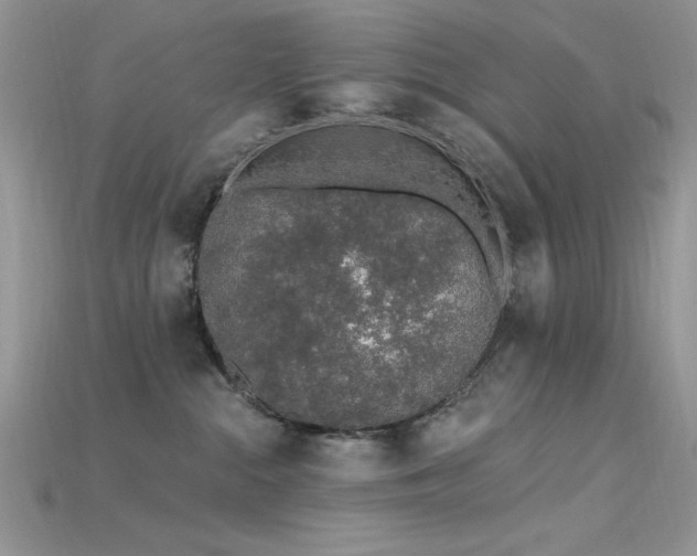 X0000115710284200911121432