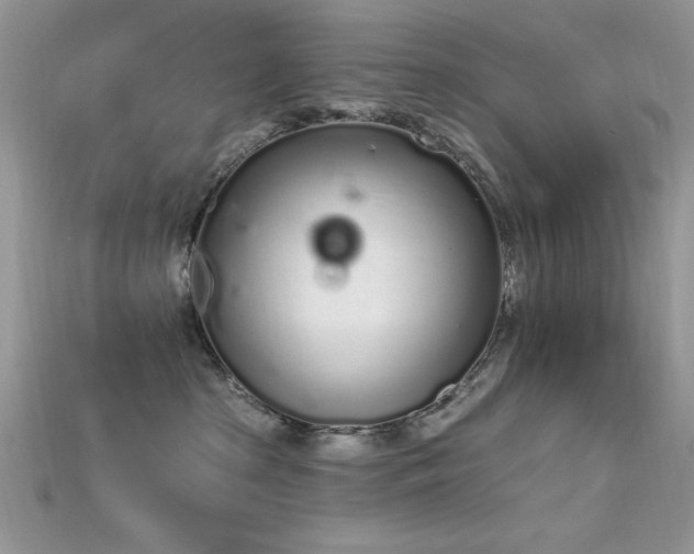 X0000115710285200911121432