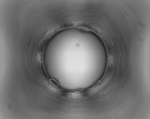 X0000115710286200911121432