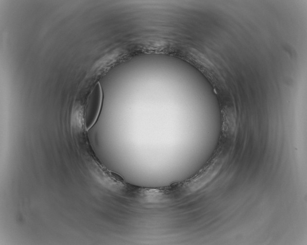 X0000115710287200911121432