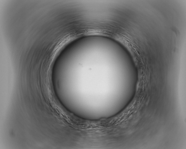 X0000115710289200911121431