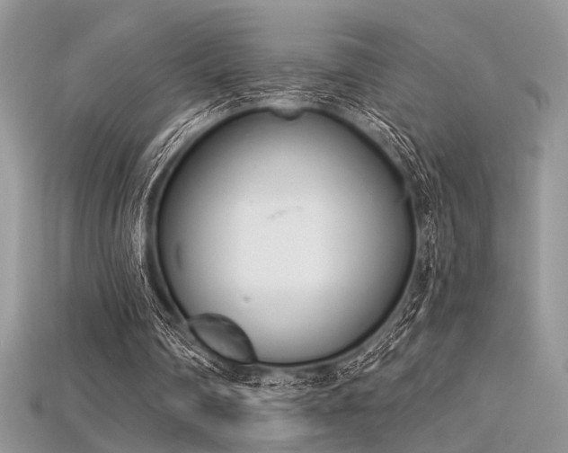 X0000115710290200911121431