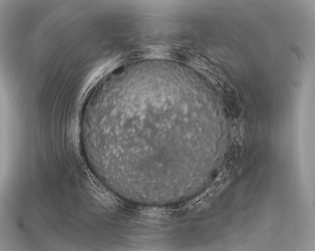 X0000115710293200911121431